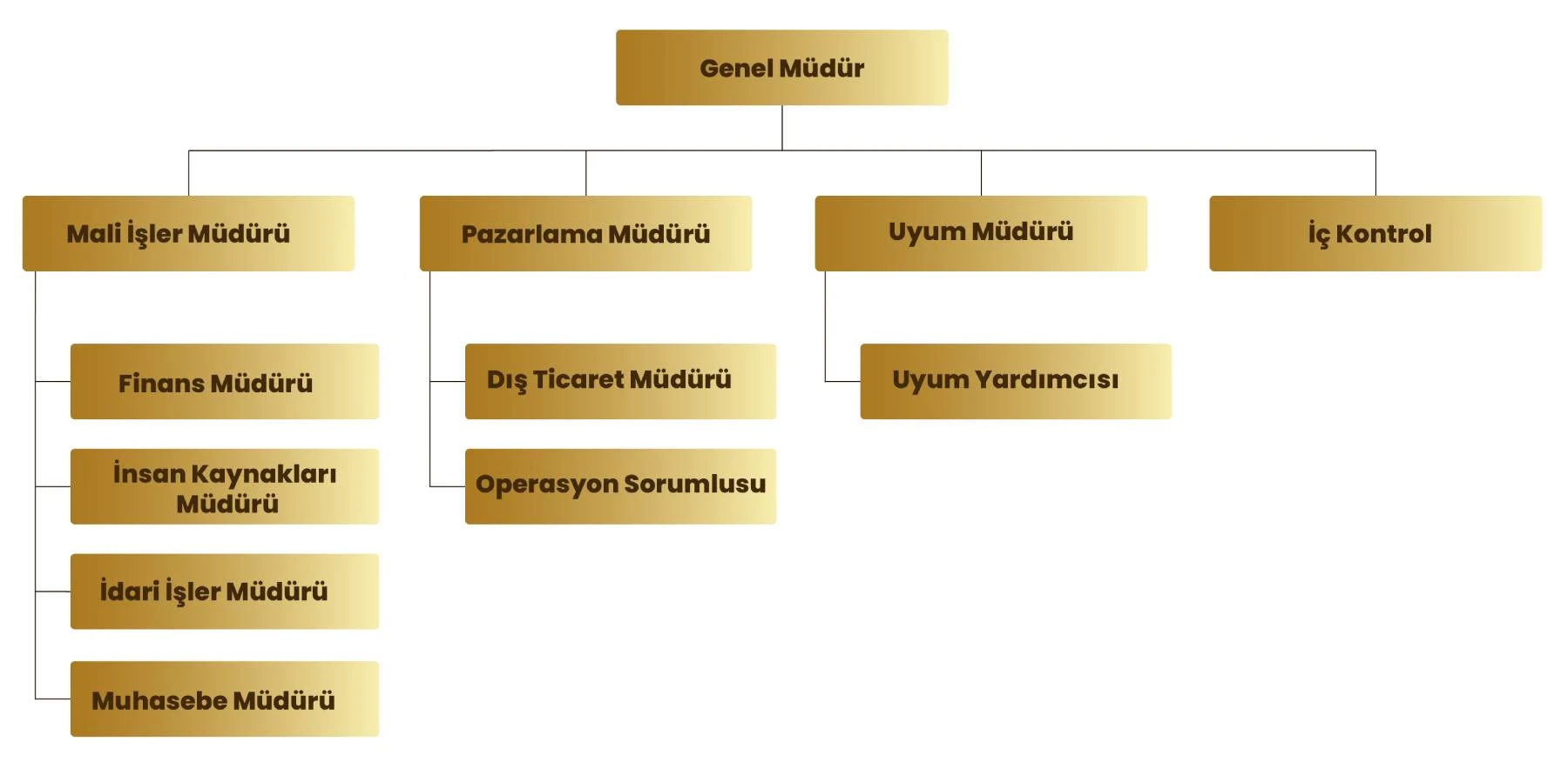Organizasyon Şeması